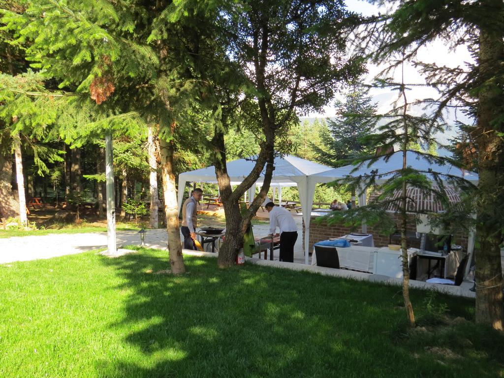 Jura Hotels Ilgaz Mountain Resort Eksteriør billede