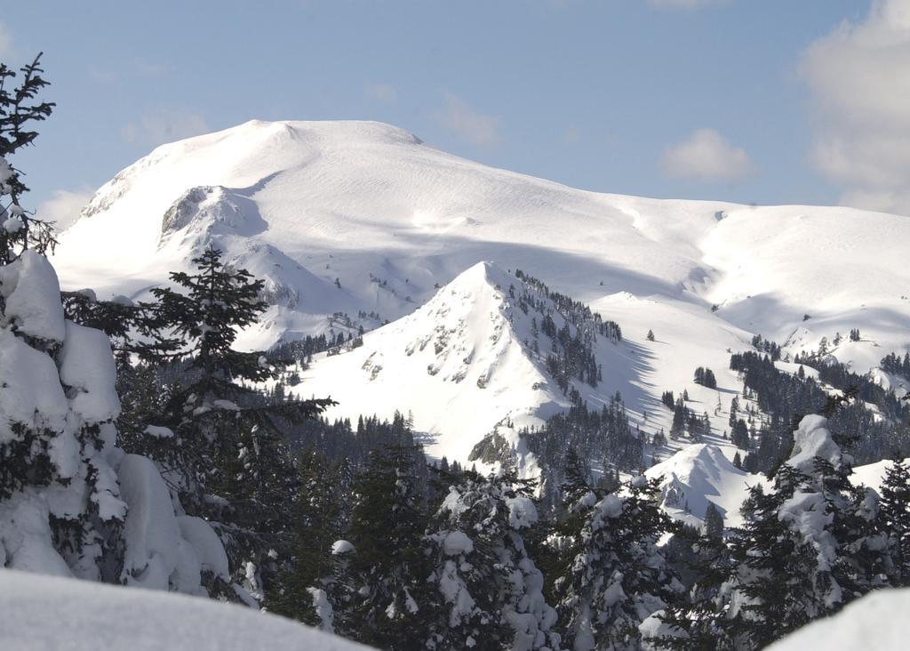Jura Hotels Ilgaz Mountain Resort Eksteriør billede