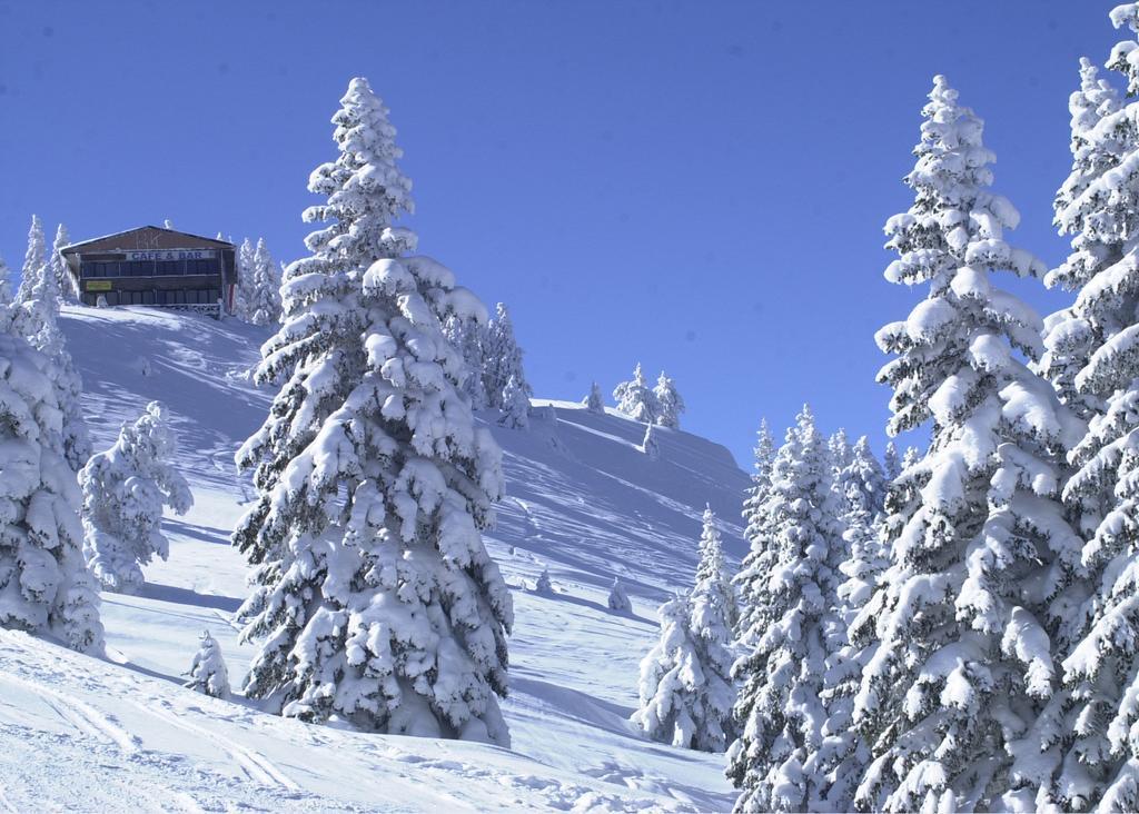 Jura Hotels Ilgaz Mountain Resort Eksteriør billede