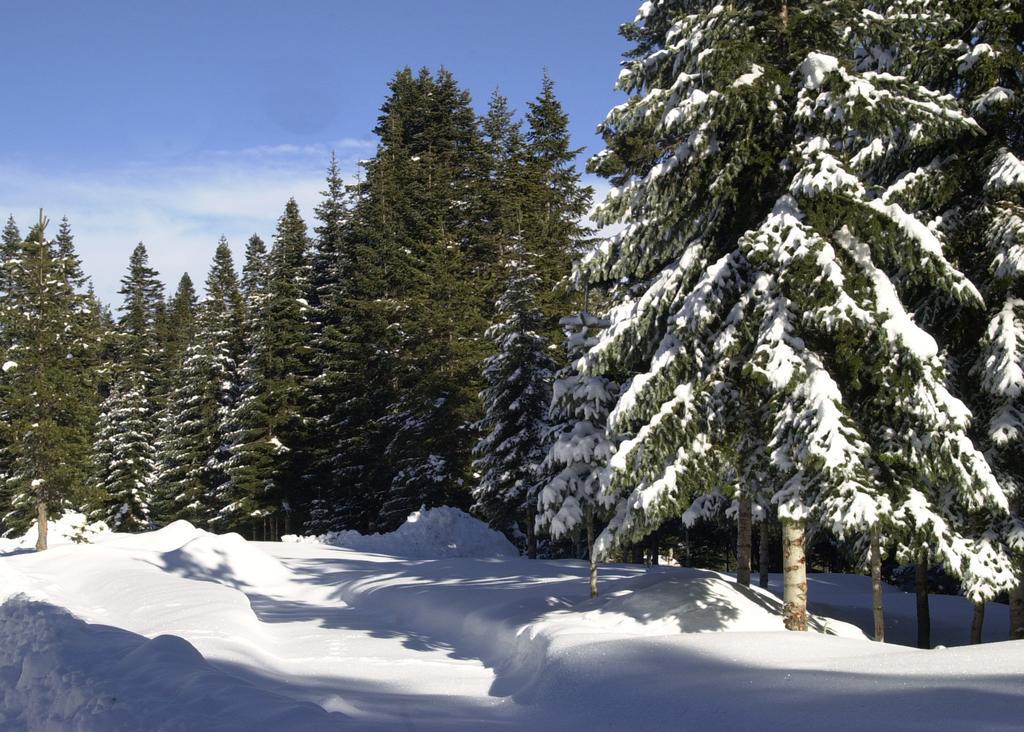 Jura Hotels Ilgaz Mountain Resort Eksteriør billede