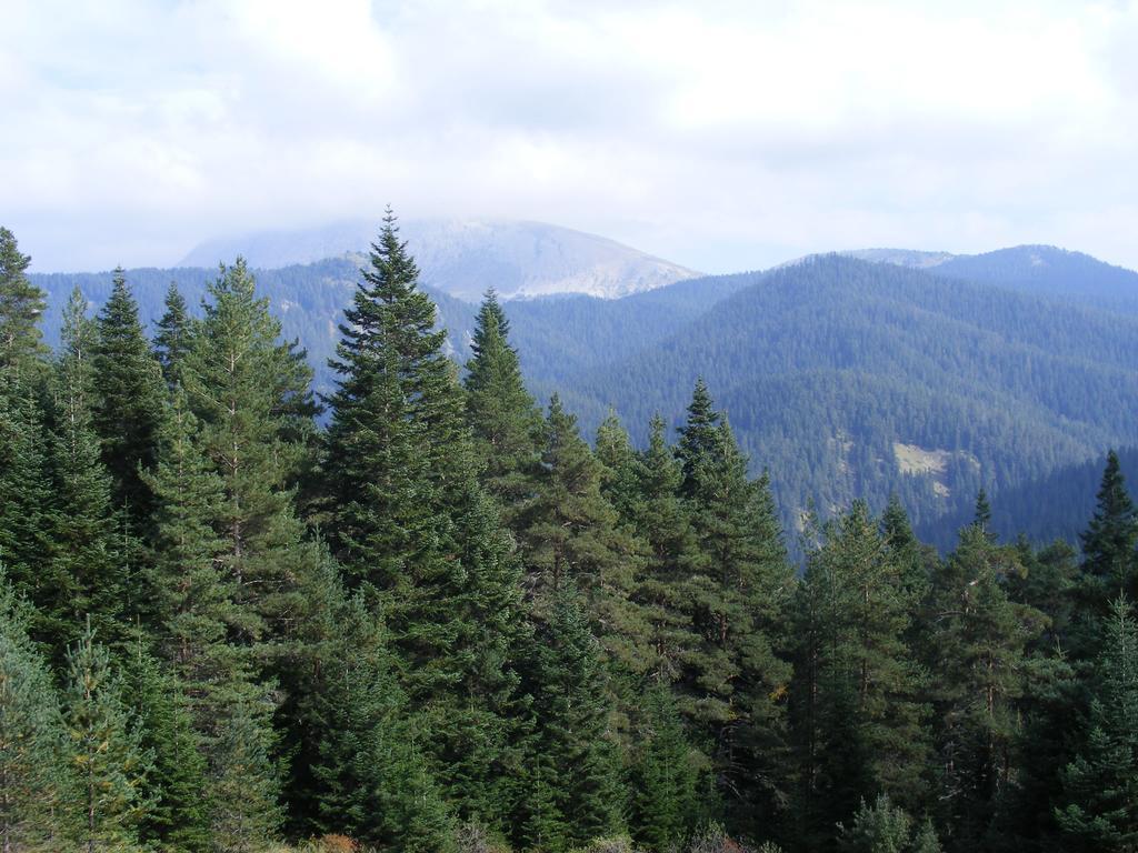 Jura Hotels Ilgaz Mountain Resort Eksteriør billede