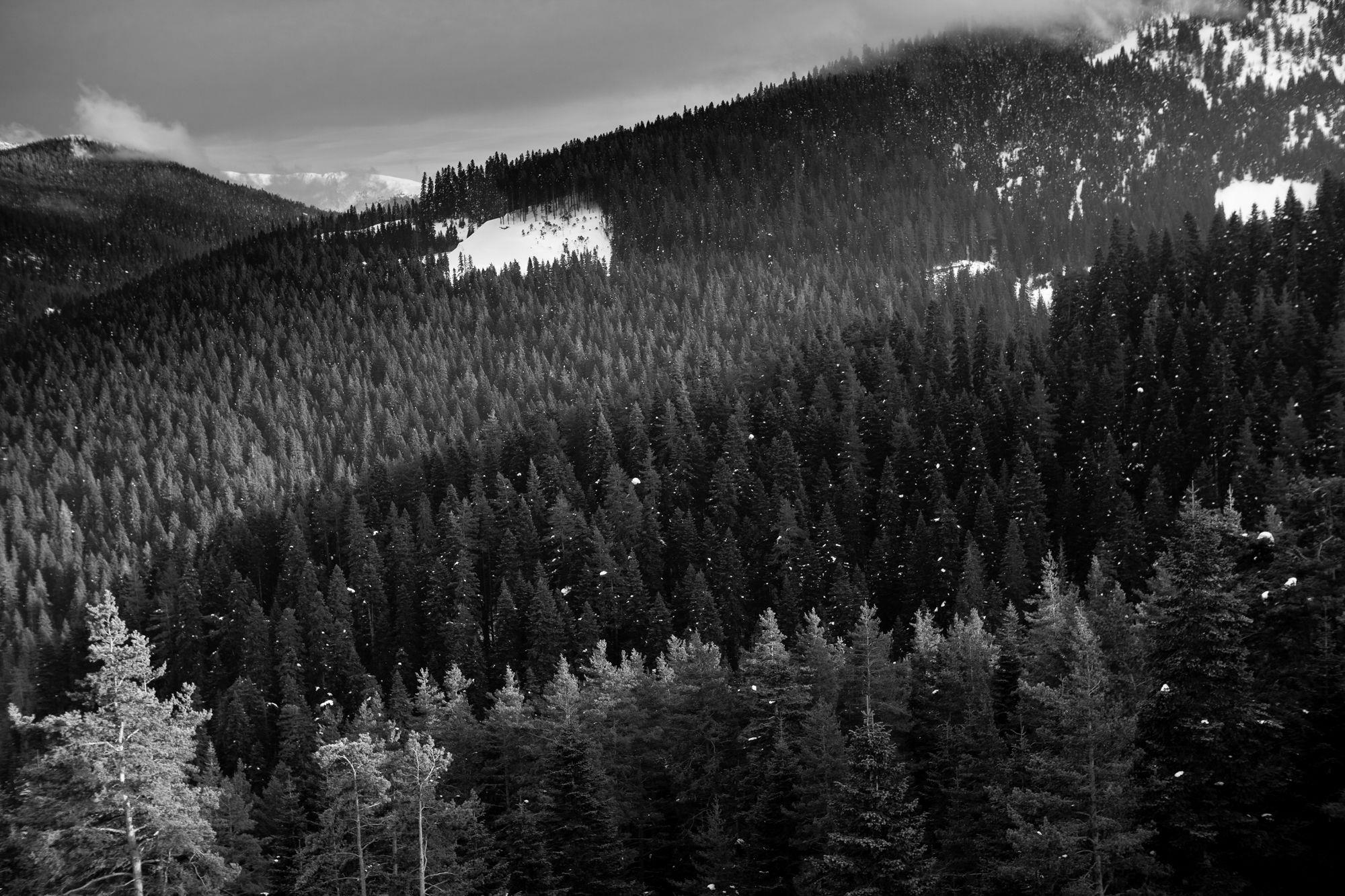 Jura Hotels Ilgaz Mountain Resort Eksteriør billede