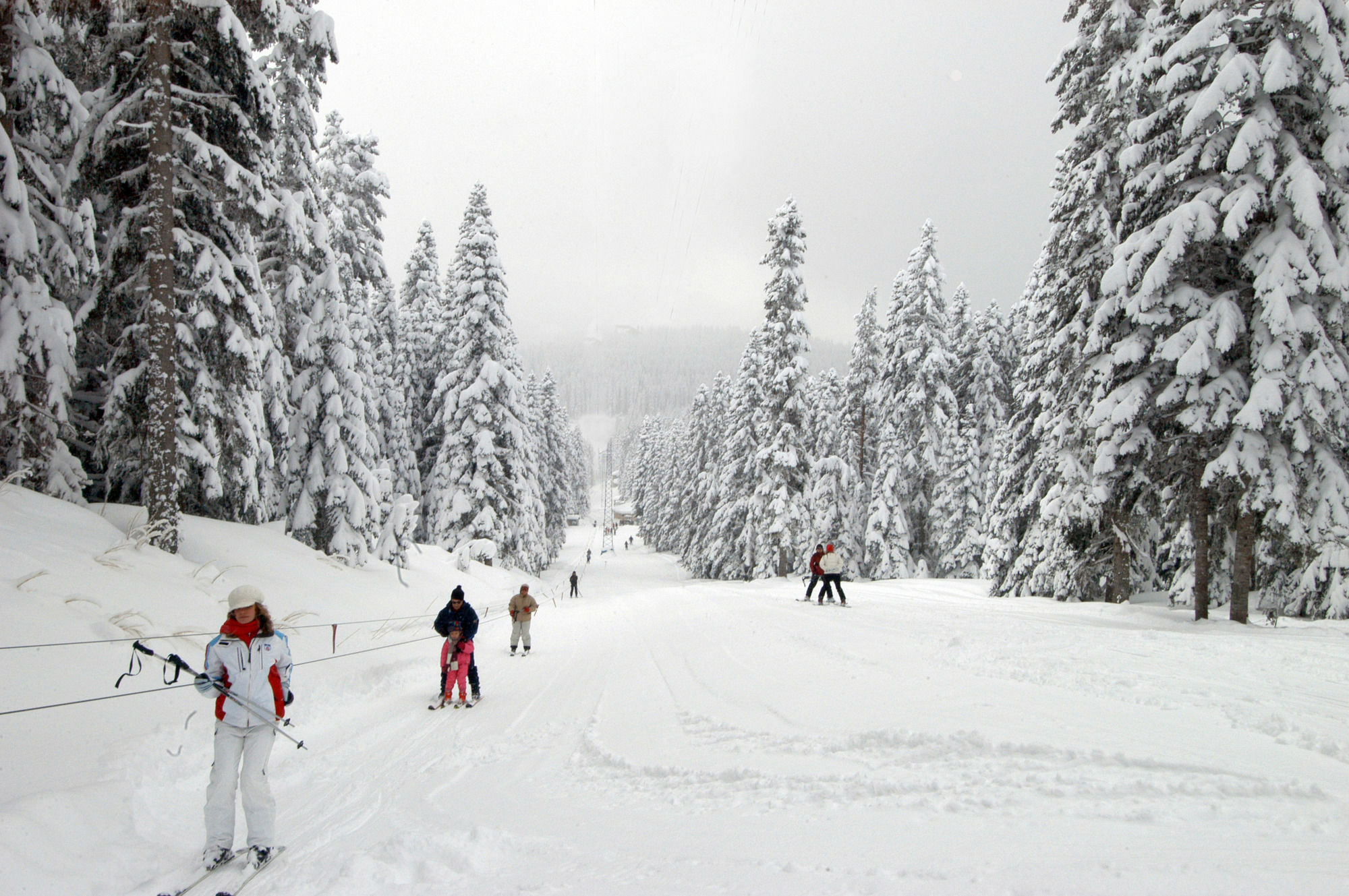Jura Hotels Ilgaz Mountain Resort Eksteriør billede